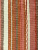 Dexter Persimmon Bella Dura Fabric